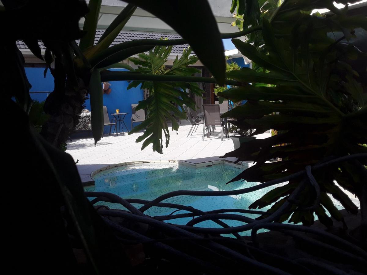 King'S Tide Guesthouse Πορτ Ελίζαμπεθ Εξωτερικό φωτογραφία